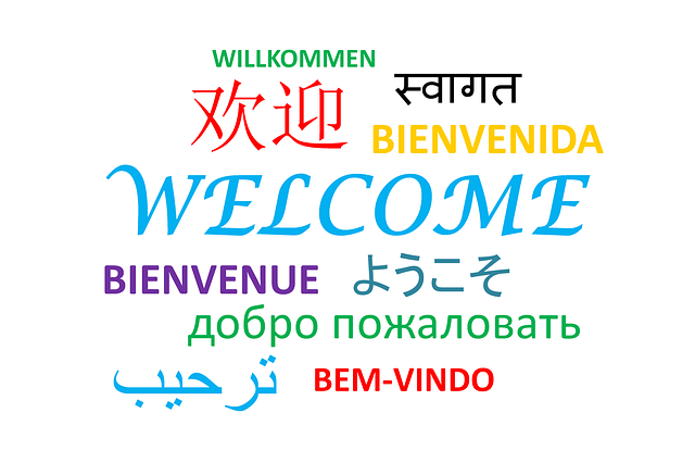 On peut y voir l&#039;inscription &quot;Bienvenue&quot; dans différentes langues nationales.